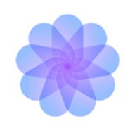 野花直播视频免费高清