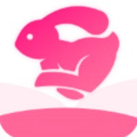 盘丝洞聊天软件_logo