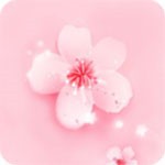 潦草视频2024版