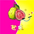 新娘圈下载入口