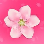 鉴黄师安装包